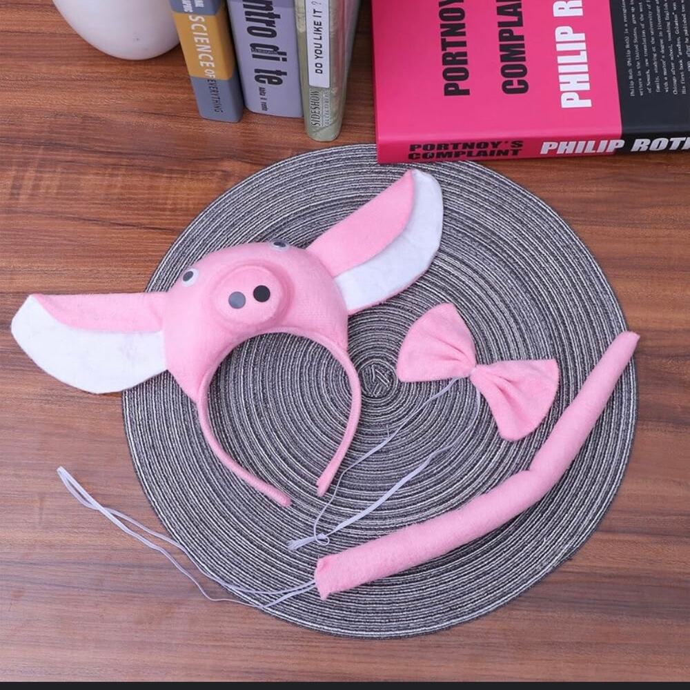 Pig Costume for kids